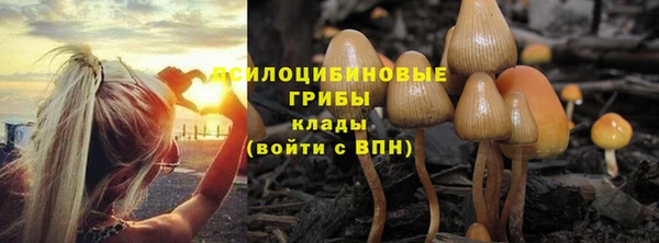 гидропоника Верхнеуральск