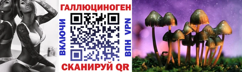 Псилоцибиновые грибы Magic Shrooms  Купить  Учалы 